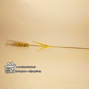 گل برنجی ساقه بلند