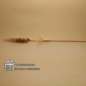 گل گندم مسی